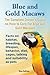 Blue and Gold Macaws