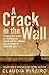 A Crack in the Wall by Claudia Piñeiro A Crack in the Wall by Claudia Piñeiro