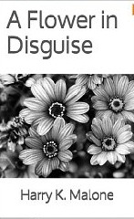 A Flower in Disguise (A Flower in Disguise #1)