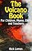 The Volcano Book for Childr...