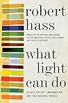 Book cover for What Light Can Do: Essays on Art, Imagination, and the Natural World