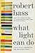 What Light Can Do: Essays on Art, Imagination, and the Natural World – Luminous Literary Reflections on Photography and American Writers
