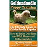 Goldendoodle Pupp...