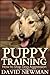 Puppy Training: How to Stop Dog Aggression