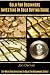 Gold For Beginners by Jon Denver