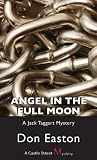 Angel in the Full Moon by Don Easton