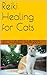 Reiki Healing for Cats