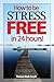 How to be Stress Free in 24 Hours! by Damian Mark Smyth