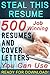 Steal This Resume: Get Hire...