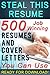 Steal This Resume by Mark Petterson
