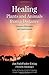 Healing Plants and Animals from a Distance: Curative Principles and Applications
