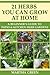 A Beginner's Guide to Patio and Kitchen Herb Gardens by Martha Green