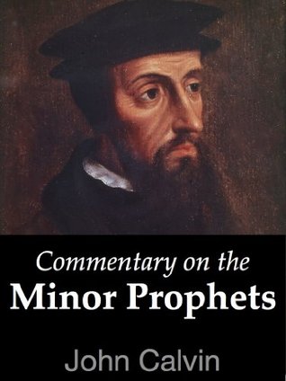 Commentary on the Minor Prophets