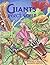 Giants of the Insect World