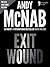 Exit Wound (Nick Stone #12)