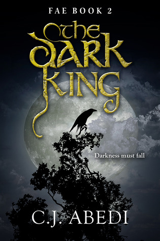 The Dark King (Paperback)