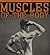 Muscles of the Body and How...