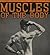 Muscles of the Body and How to Develop Them by Alan Mead