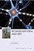 Neurobehavioral Anatomy, Third Edition by Christopher M. Filley