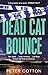 Dead Cat Bounce by Peter   Cotton