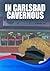 In Carlsbad, Cavernous (Cinnamon/Burro Top Mystery Series #5)