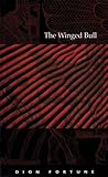 Book cover for The Winged Bull