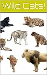 Wild Cats: Lions, Panthers, Cheetahs and More!