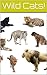 Wild Cats by Michelle Powers
