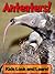 Anteaters Learn About Anteaters and Enjoy Colorful Pictures Look and