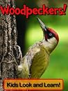 Woodpeckers! Lear...