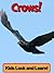Crows! Learn About Crows and Enjoy Colorful Pictures - Look and Learn! (50+ Photos of Crows)