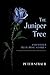 The Juniper Tree And Other Blue Rose Stories by Peter Straub