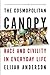 The Cosmopolitan Canopy: Race and Civility in Everyday Life