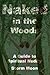 Naked in the Woods: A Guide to Spiritual Nudity