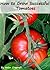 How to Grow Successful Tomatoes by Helen Crapnell