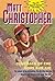 Comeback of the Home Run Kid by Matt Christopher