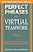 Perfect Phrases for Virtual Teamwork: Hundreds of Ready-to-Use Phrases for Fostering Collaboration at a Distance (Perfect Phrases Series)