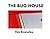 THE BUG HOUSE by Tim Knowles