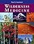 Wilderness Medicine