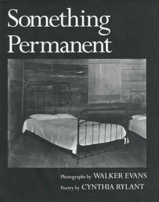 Something Permanent (Hardcover)