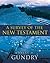 A Survey of the New Testament