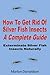 How To Get Rid Of Silver Fish Insects : A Complete Guide Exterminate Silver Fish Insects Naturally