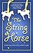 The String Horse