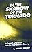 In the Shadow of the Tornado by Richard Bedard