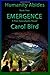 Emergence - A Post Apocalyptic Novel (Humanity Abides)