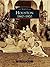 Houston: 1860 to 1900 (Images of America: Texas)