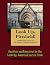 A Walking Tour of Pittsfield, Massachusetts (Look Up, America! Series)