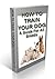 How To Train Your Dog - A Guide For All Breeds