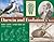 Darwin and Evolution for Kids: His Life and Ideas with 21 Activities (16) (For Kids series)