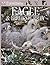 Eagle & Birds of Prey by Jemima Parry-Jones Eagle & Birds of Prey by Jemima Parry-Jones